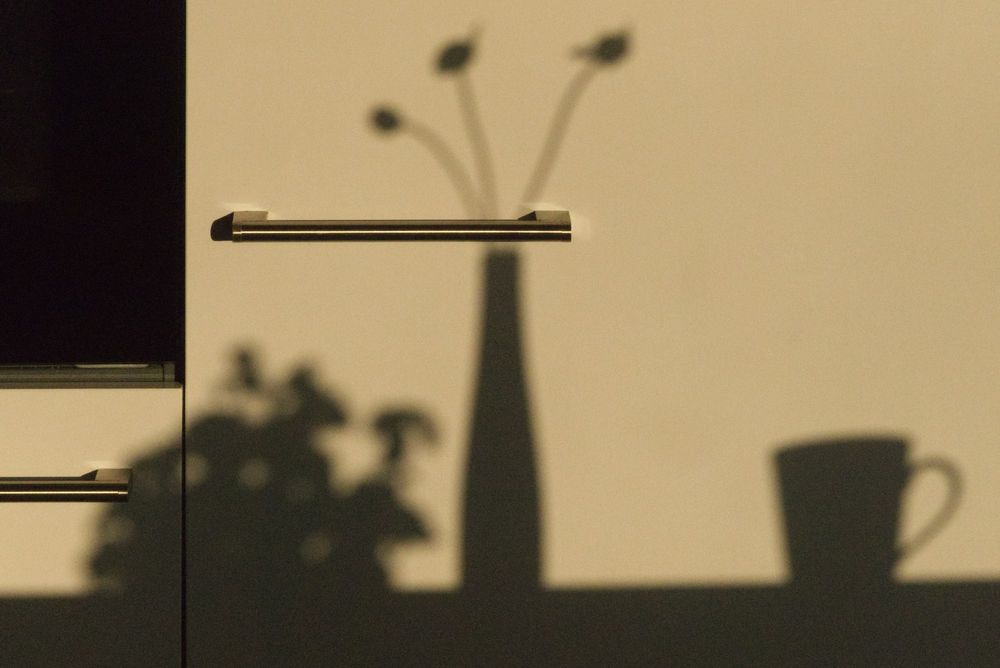 A bare beige wall with the afternoon shadows of a vase of twigs and a cup.