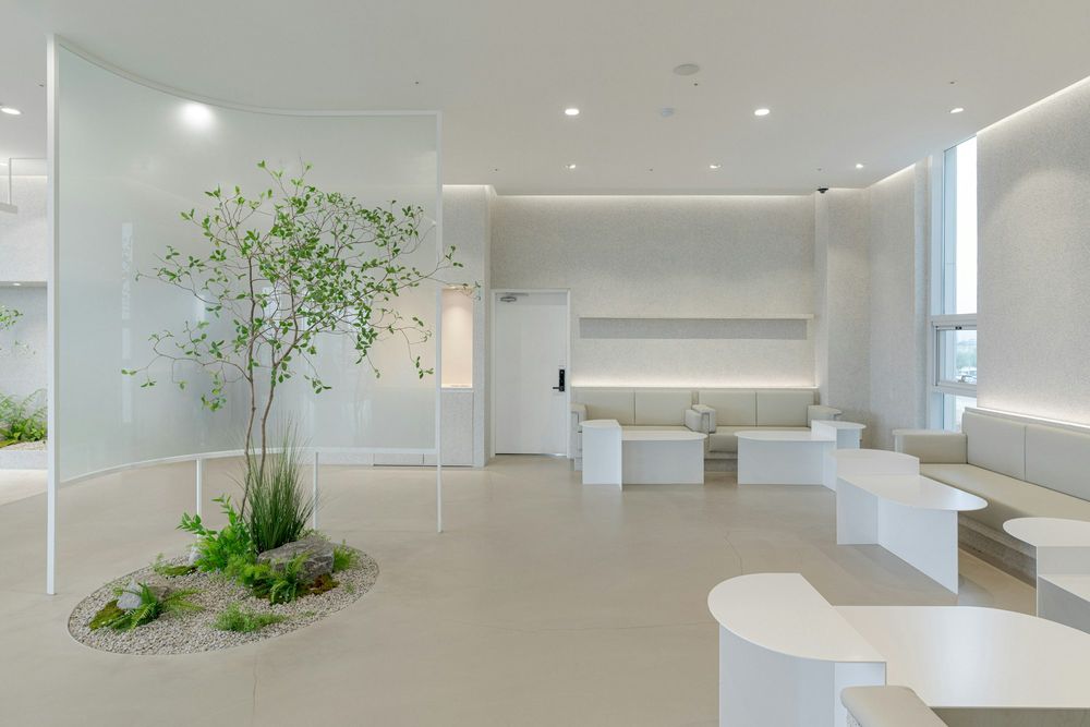 White waiting area with curved benches and a small tree planted in gravel