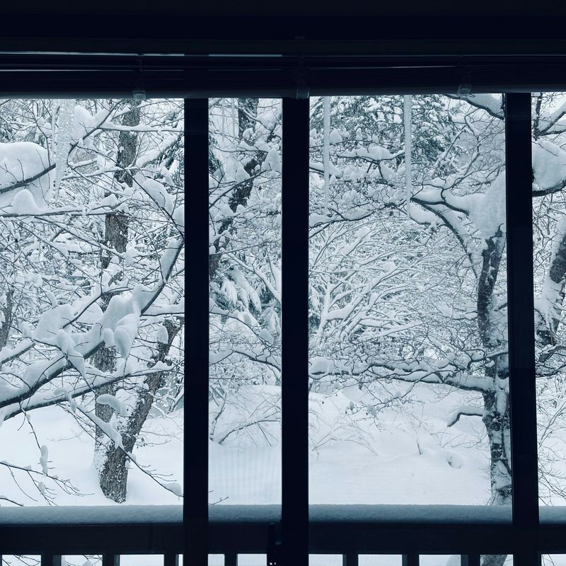 Snow-covered trees seen through a dark window frame.