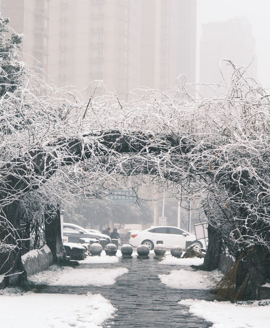 A city path under snow-laden trees on a grey winter day.