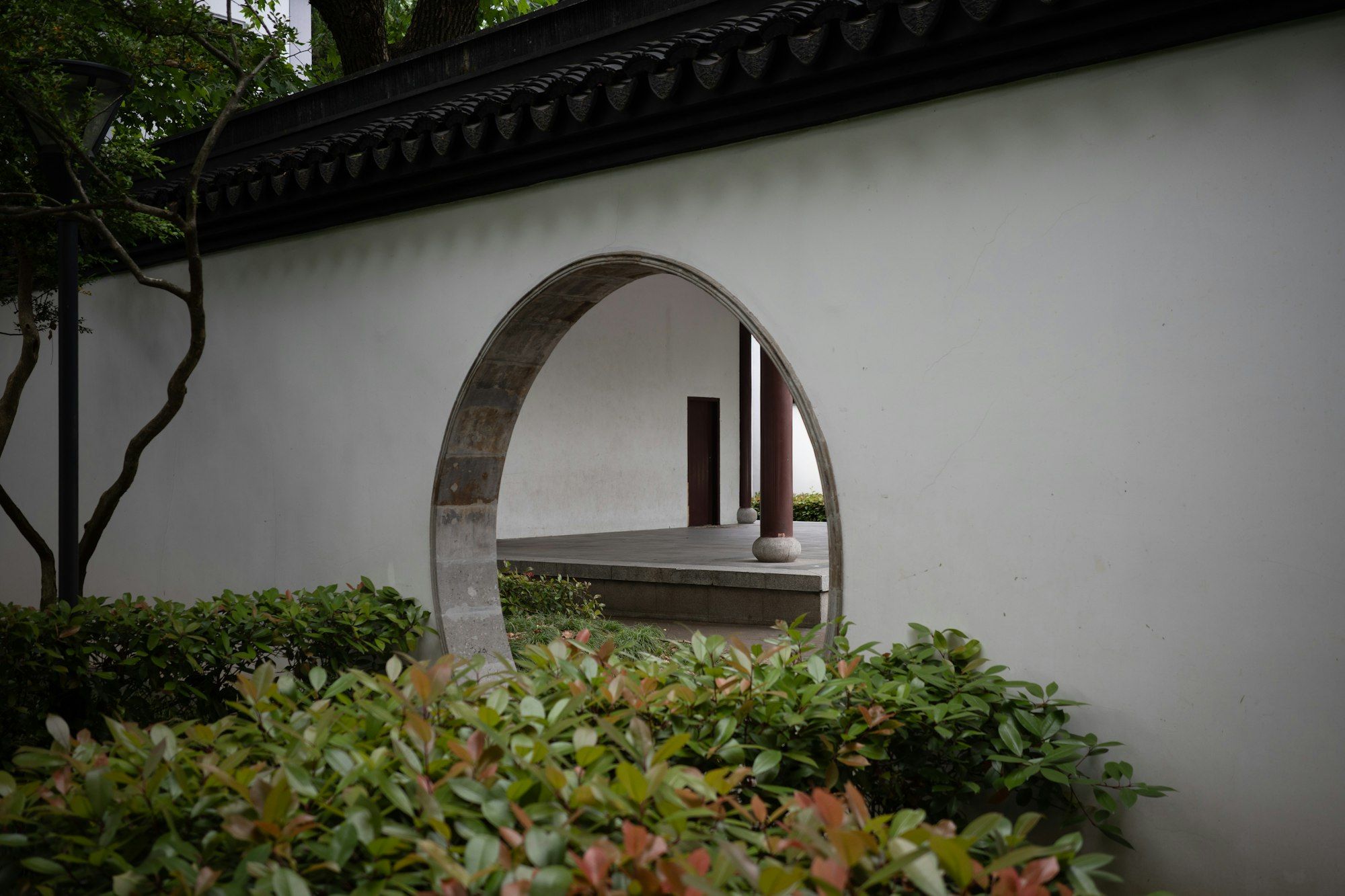 Inside the garden: a curving white wall with an arched opening and low shrubs