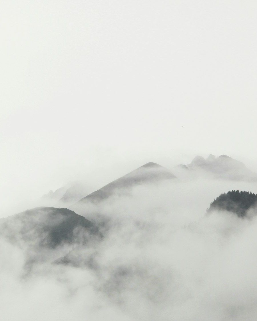 Dark peaks rising out of a sea of white cloud
