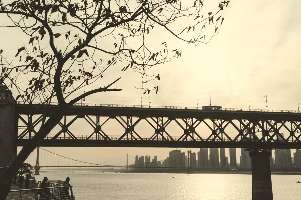A steel truss bridge over the river in white summer haze, a bare tree in front.